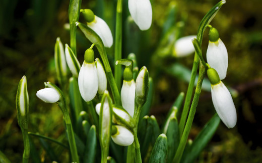 �1762238 �������(a): ����������:2560x1600